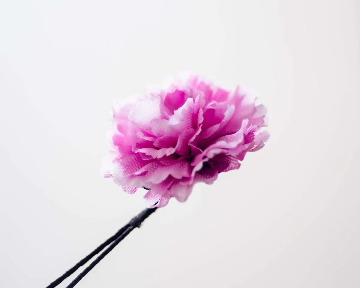 Boutonnière Nelke Magenta a Klein (Caryophyllaceae) - Ansicht 2