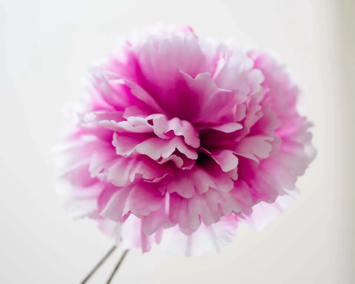Boutonnière Nelke Magenta c Groß (Caryophyllaceae) - Ansicht 2