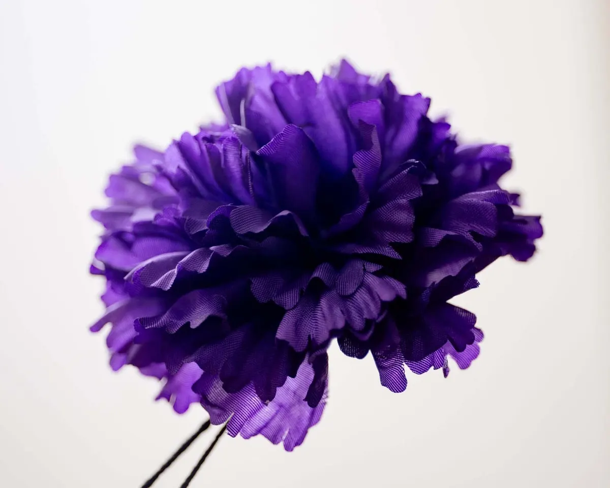 Boutonnière Nelke Lila c Groß (Caryophyllaceae) - Ansicht 2