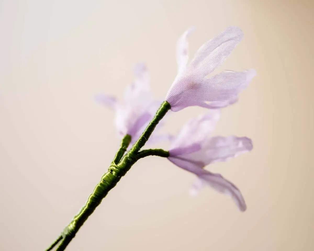 Boutonnière Almrausch 3er (Rhododendron hirsutum) - Ansicht 3