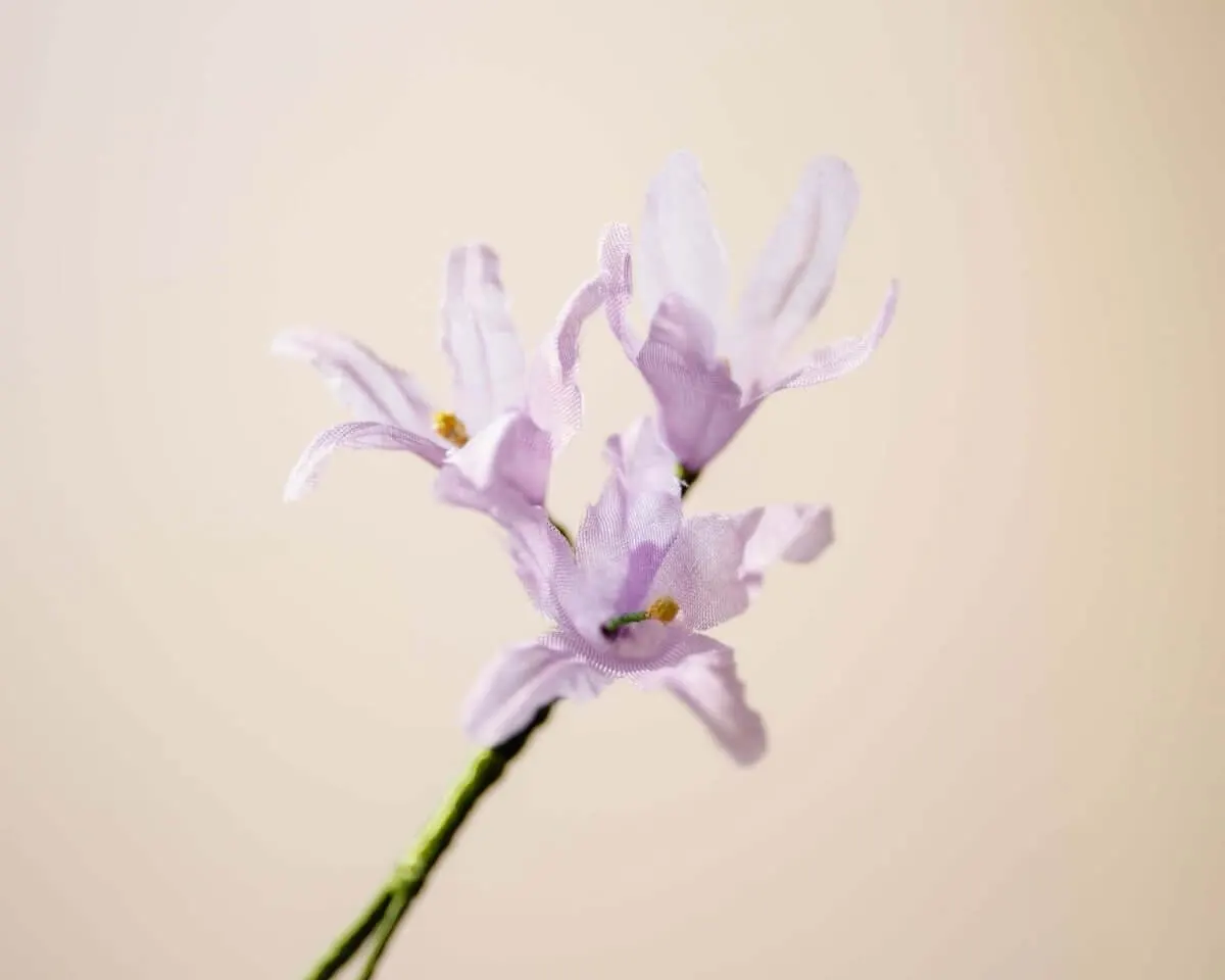 Boutonnière Almrausch 3er (Rhododendron hirsutum) - Ansicht 2
