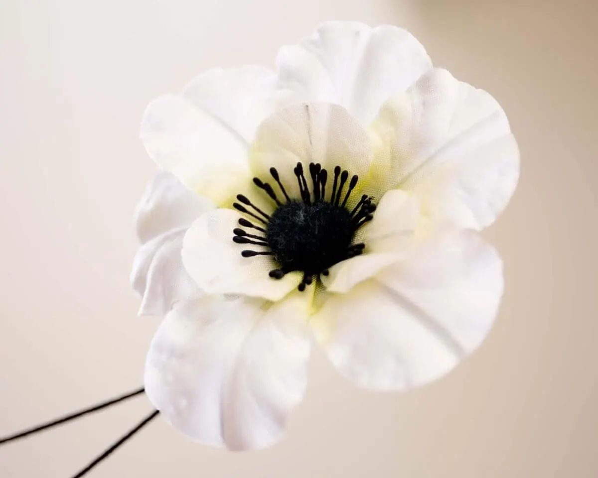 Boutonnière Anemone Weiß (Anemone coronaria 'Bride') - Ansicht 2