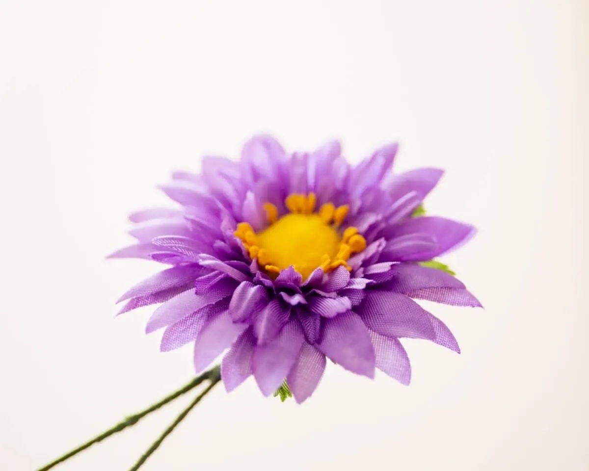 Boutonnière Aster Violett groß (Aster violaceum) - Ansicht 2