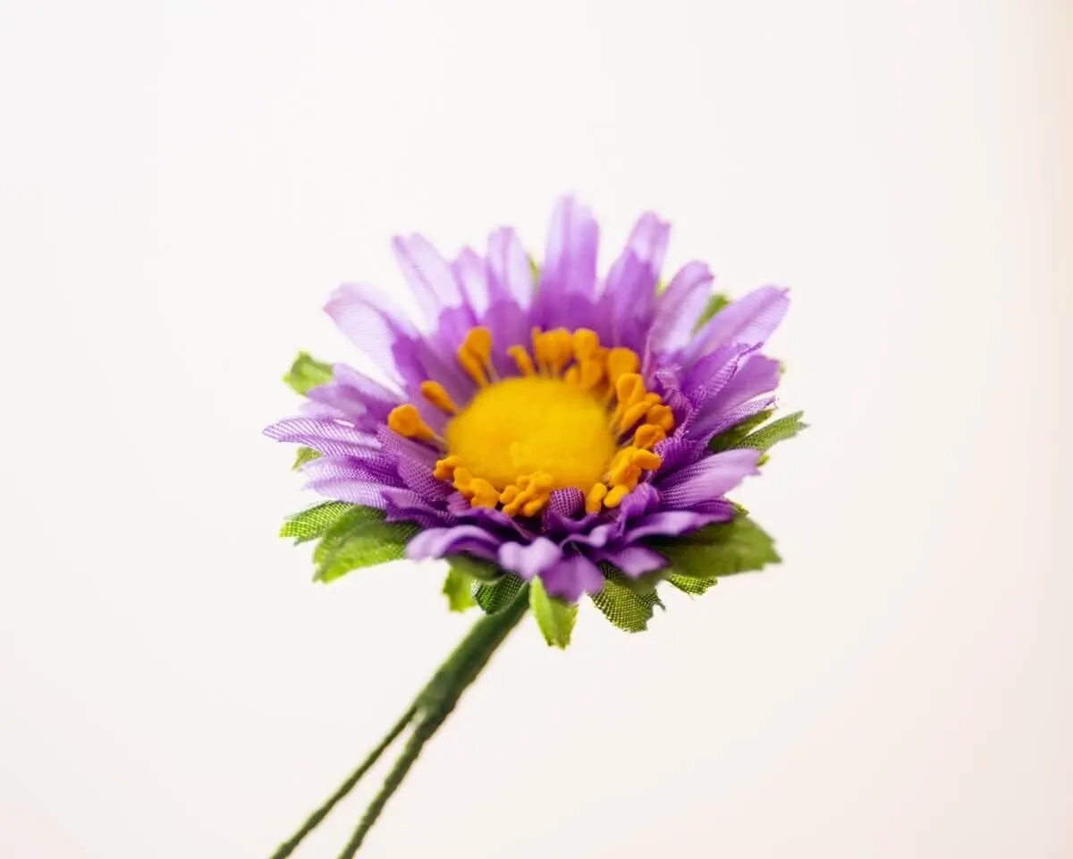 Boutonnière Aster Violett klein (Aster violaceum) - Ansicht 2