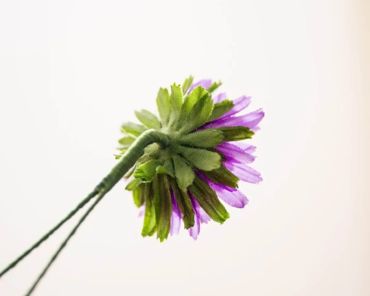Boutonnière Aster Violett klein (Aster violaceum) - Ansicht 3