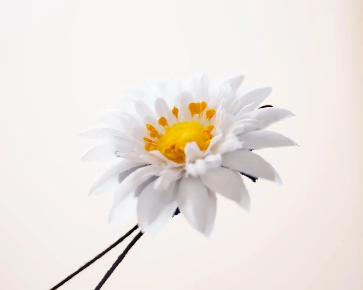 Boutonnière Aster Weiß groß (Aster album) - Ansicht 2