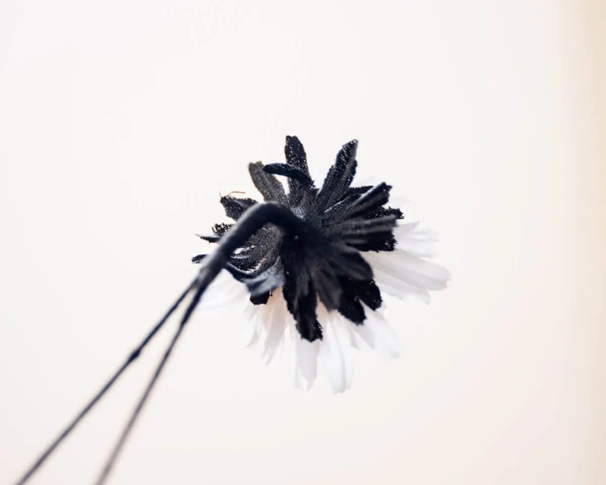 Boutonnière Aster Weiß klein (Aster album) - Ansicht 3