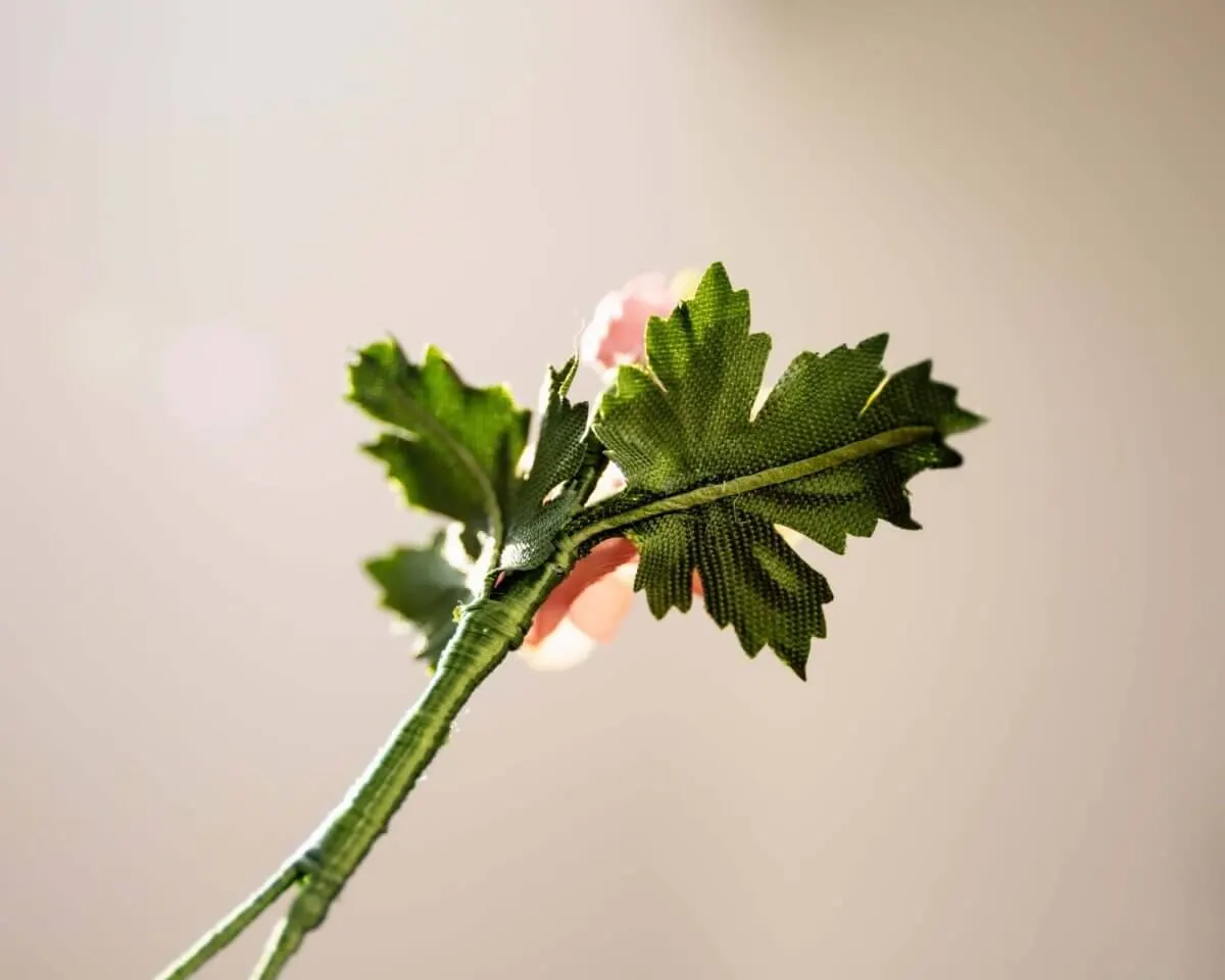 Boutonnière Bachnelkenwurz (Geum rivale) - Ansicht 3