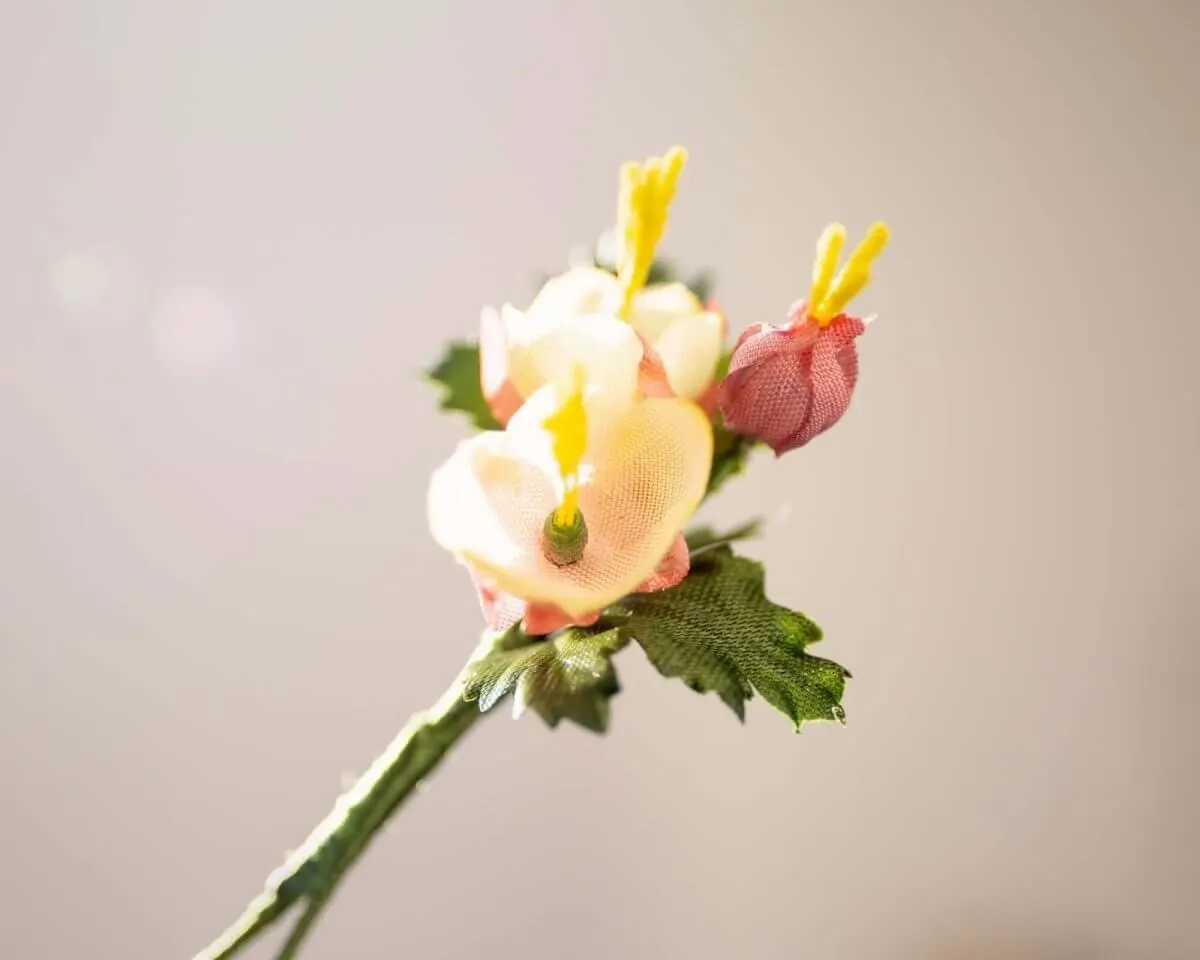 Boutonnière Bachnelkenwurz (Geum rivale) - Ansicht 2