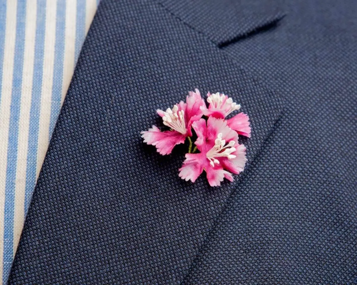 Boutonnière Bartnelke 3er (Dianthus barbatus)