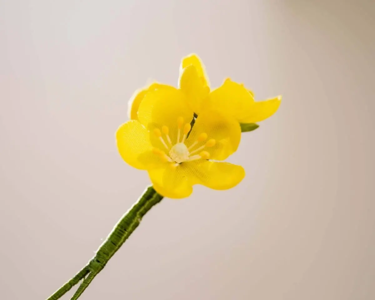 Boutonnière Butterblume 3er (Caltha palustris) - Ansicht 2