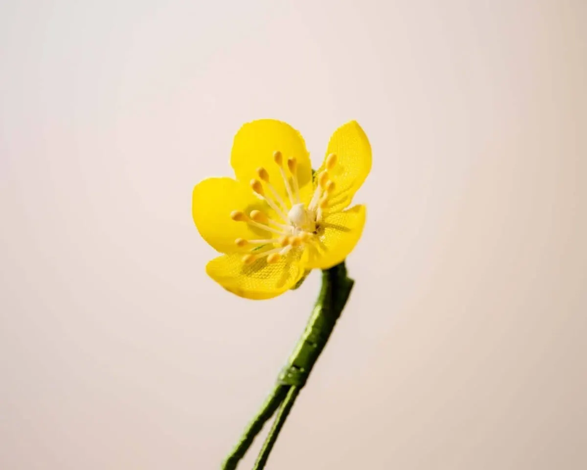 Boutonnière Butterblume Mini (Caltha palustris) - Ansicht 2