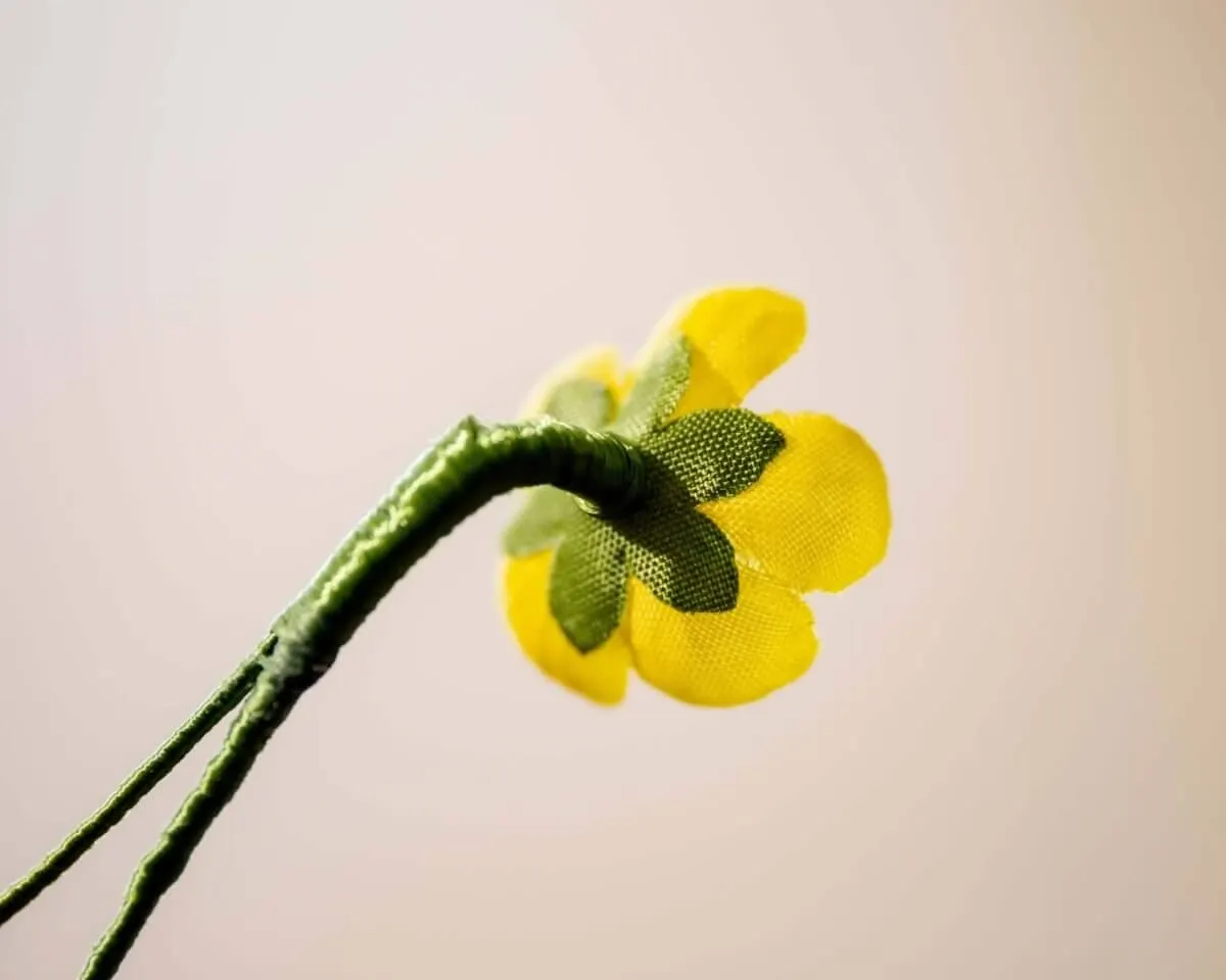 Boutonnière Butterblume Mini (Caltha palustris) - Ansicht 3