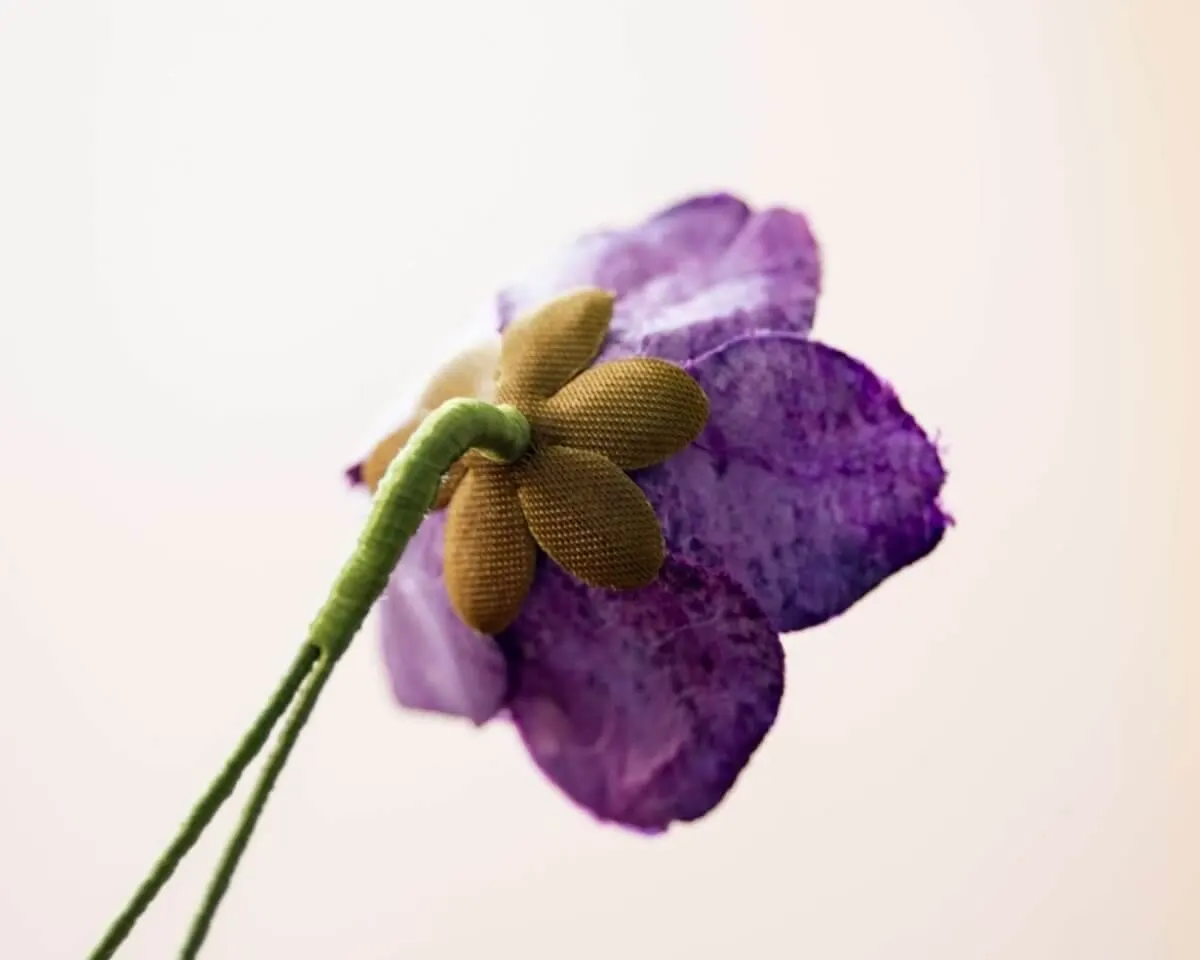 Boutonnière Christrose Violett (Helleborus niger) - Ansicht 3