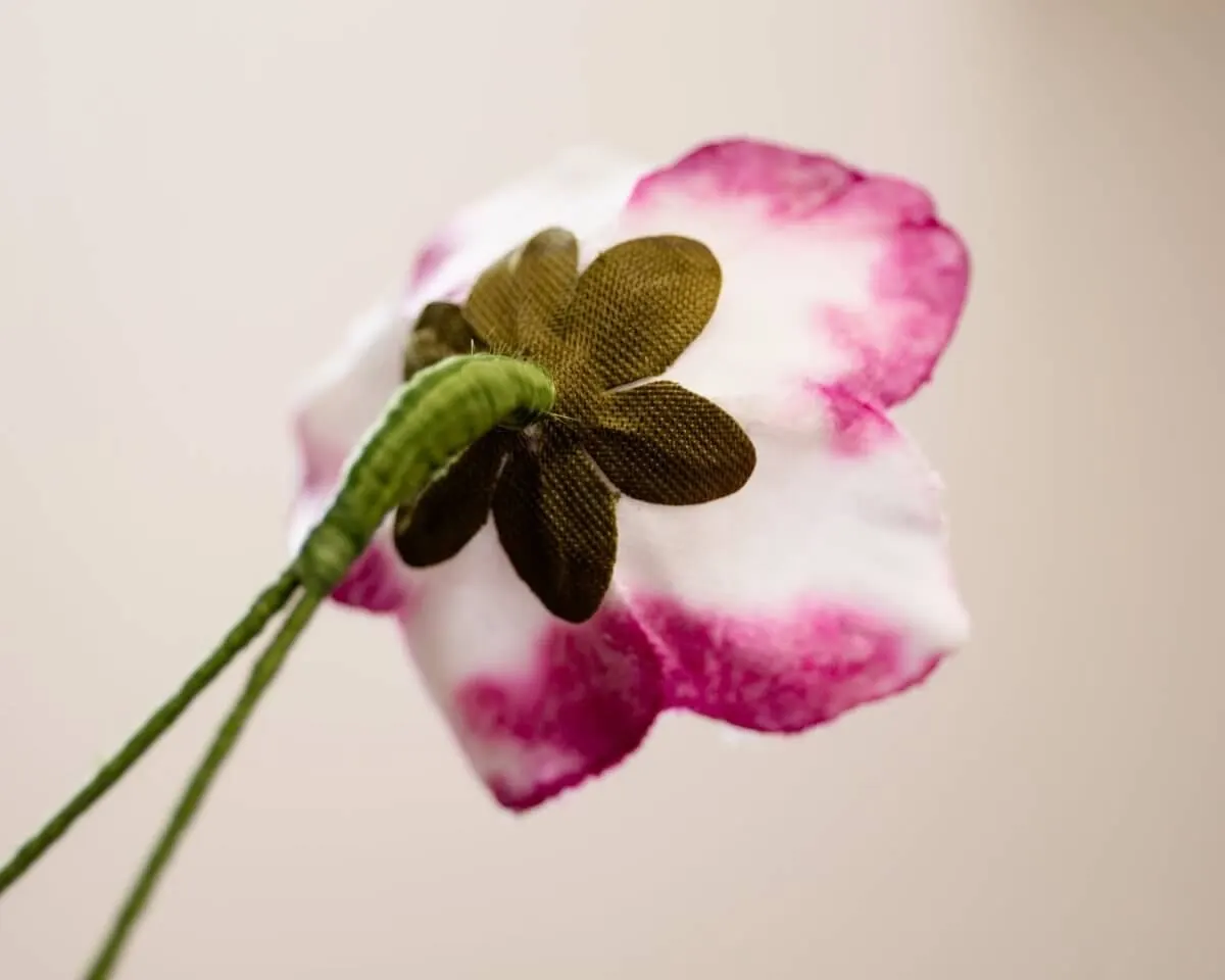 Boutonnière Christrose Weiß-Violett (Helleborus niger) - Ansicht 3