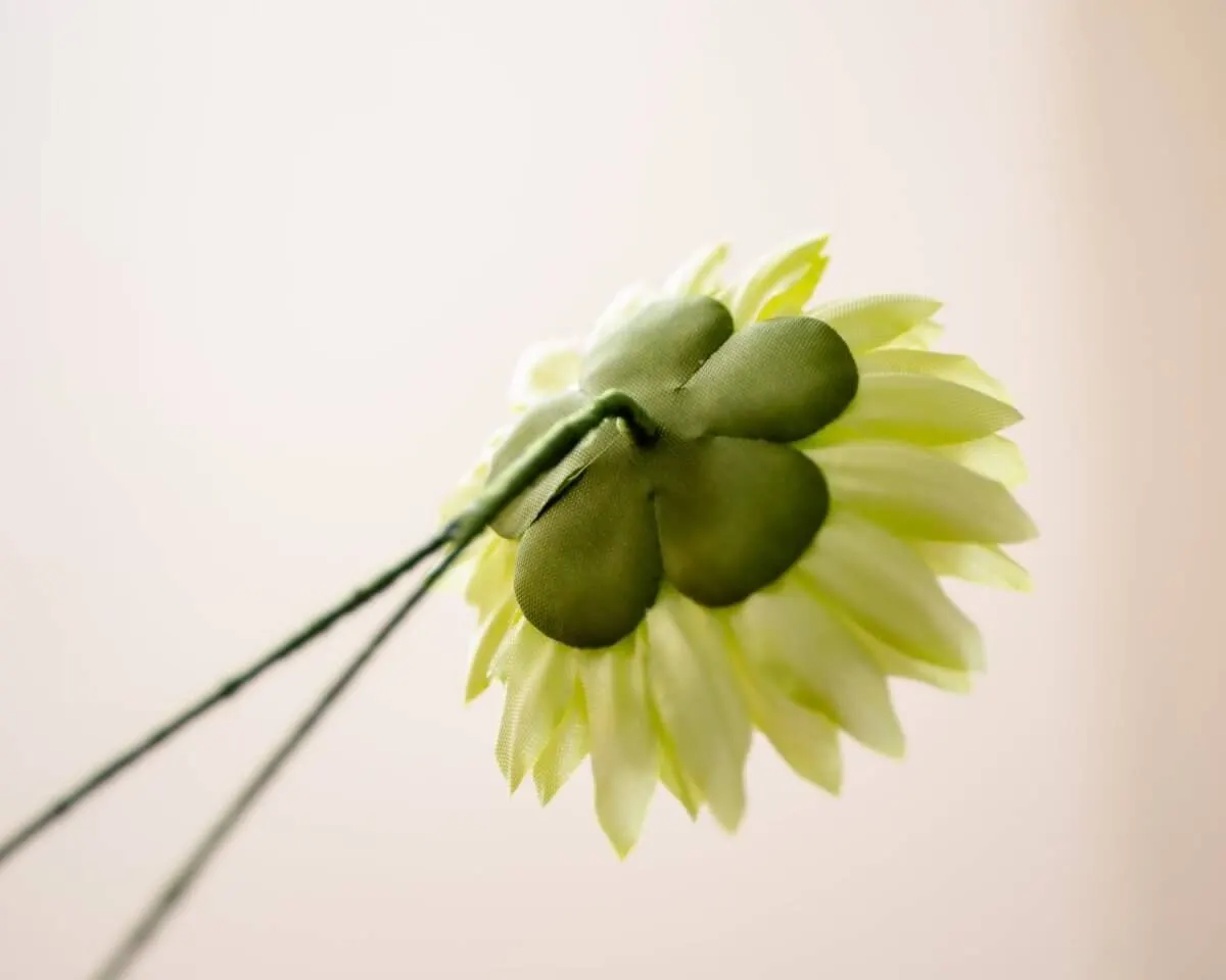 Boutonnière Chrysantheme Hellgrün (Chrysanthemum lux viridi) - Ansicht 3