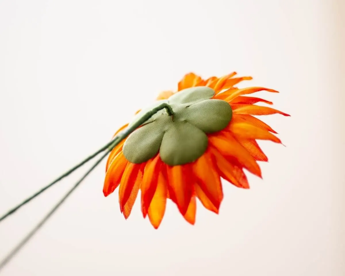 Boutonnière Chrysantheme Orange (Chrysanthemum flammea aurantiaco) - Ansicht 3