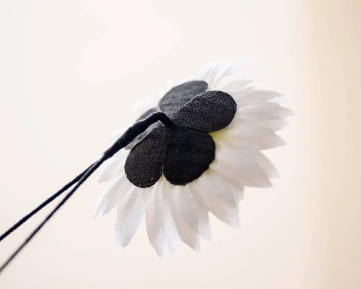 Boutonnière Chrysantheme Weiß (Chrysanthemum album) - Ansicht 3