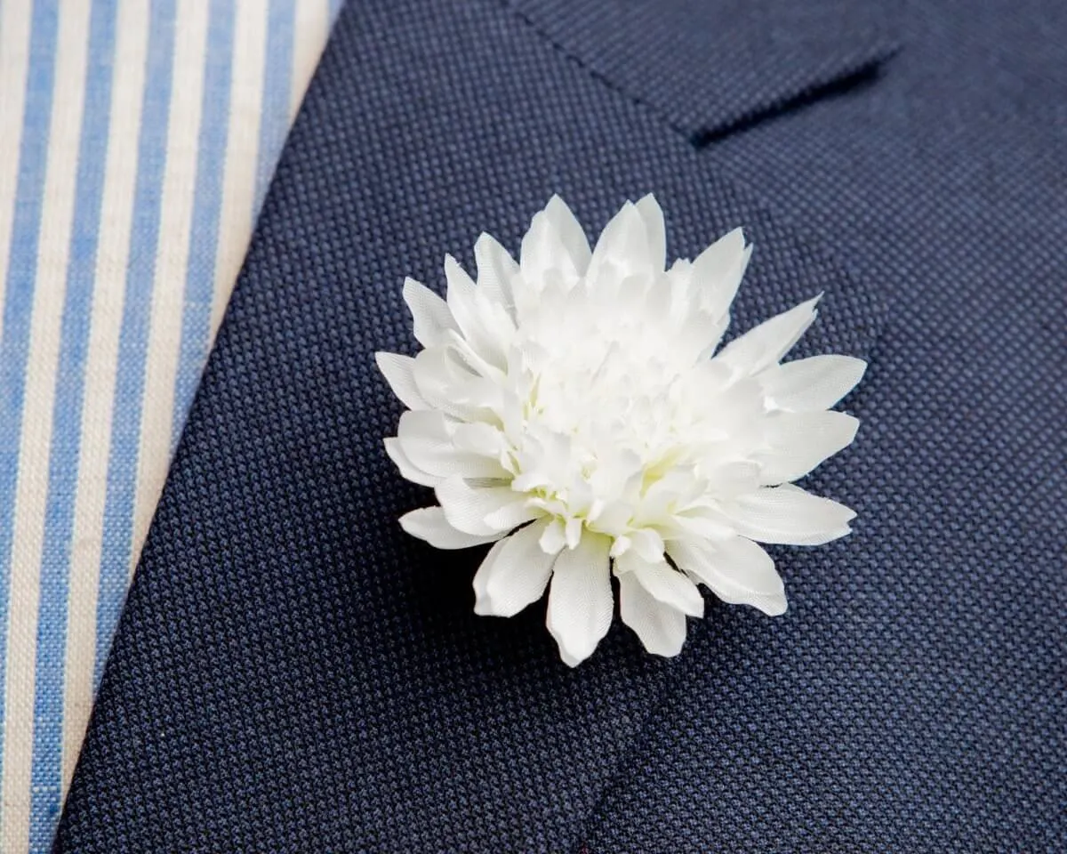 Boutonnière Chrysantheme Weiß (Chrysanthemum album)
