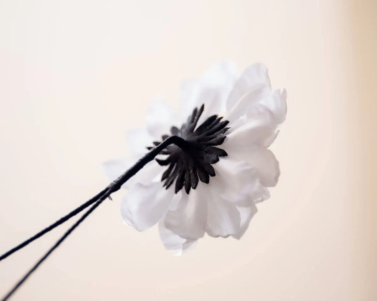 Boutonnière Dahlie Weiß (Dahlia album) - Ansicht 3