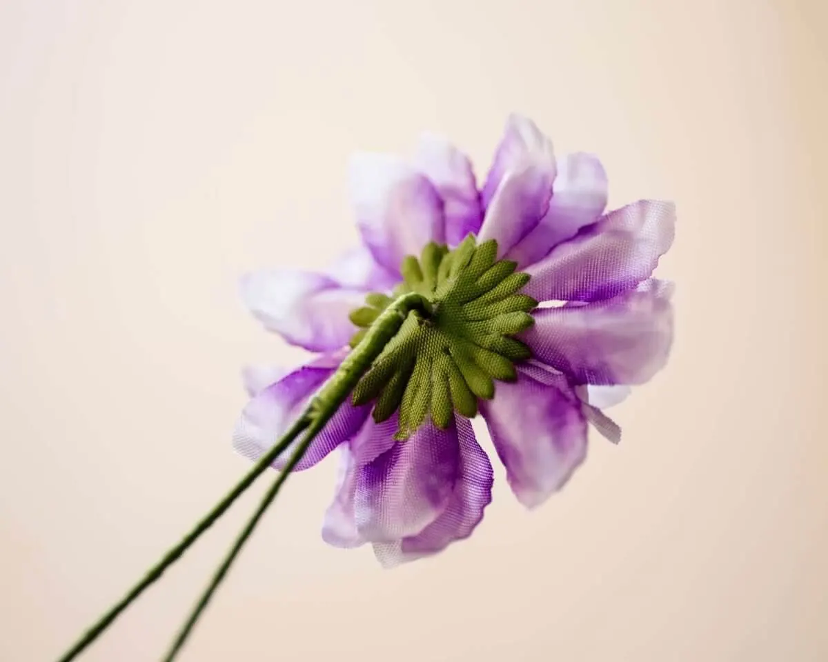 Boutonnière Dahlie Lila (Dahlia purpura) - Ansicht 3