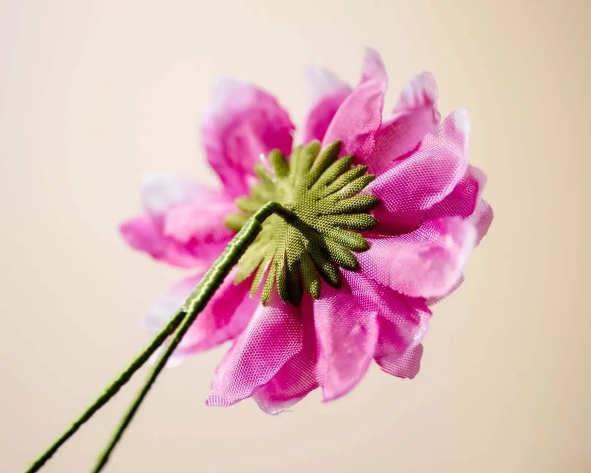 Boutonnière Dahlie Magenta (Dahlia magentum) - Ansicht 3