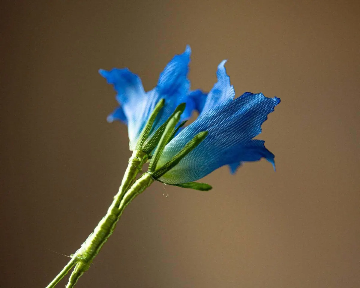 Boutonnière Enzian 2er (Gentianaceae) - Ansicht 4