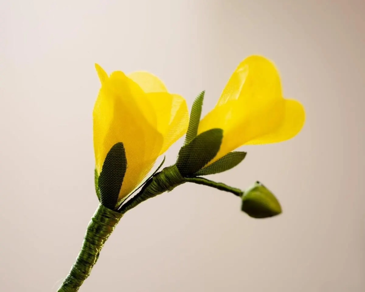 Boutonnière Freesie Gelb (Freesia flavum) - Ansicht 2
