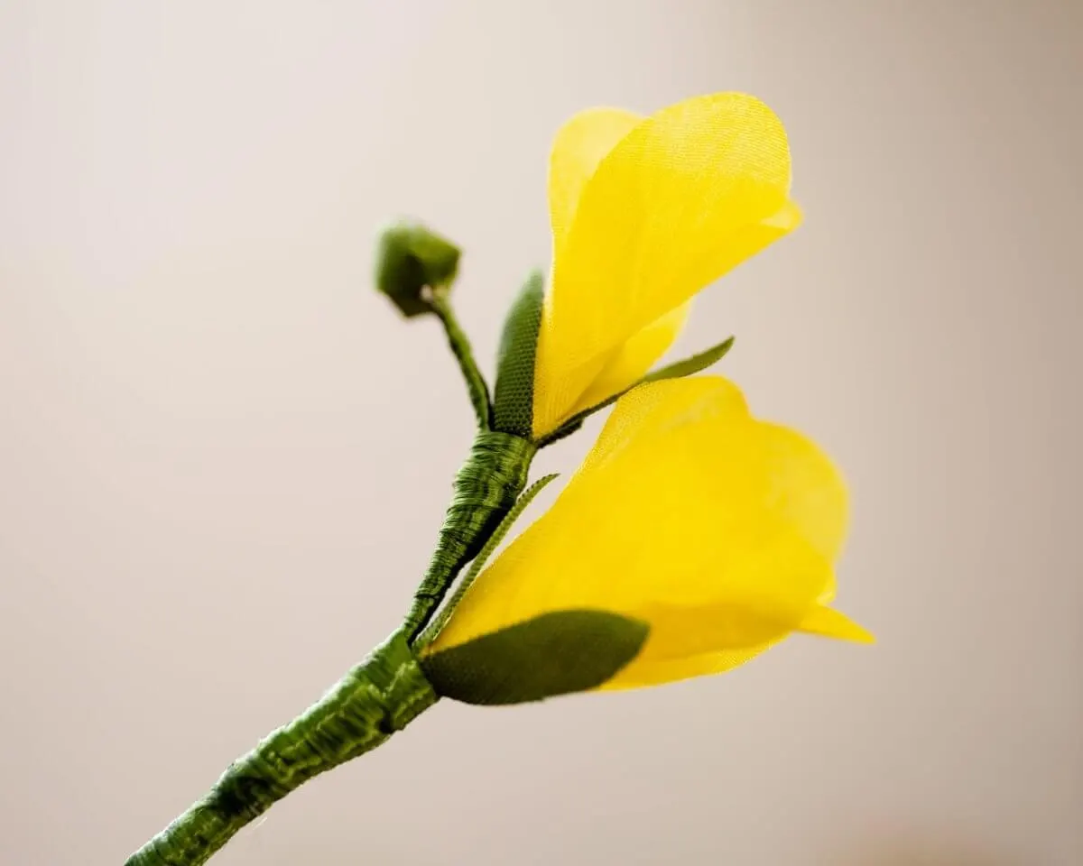 Boutonnière Freesie Gelb (Freesia flavum) - Ansicht 3