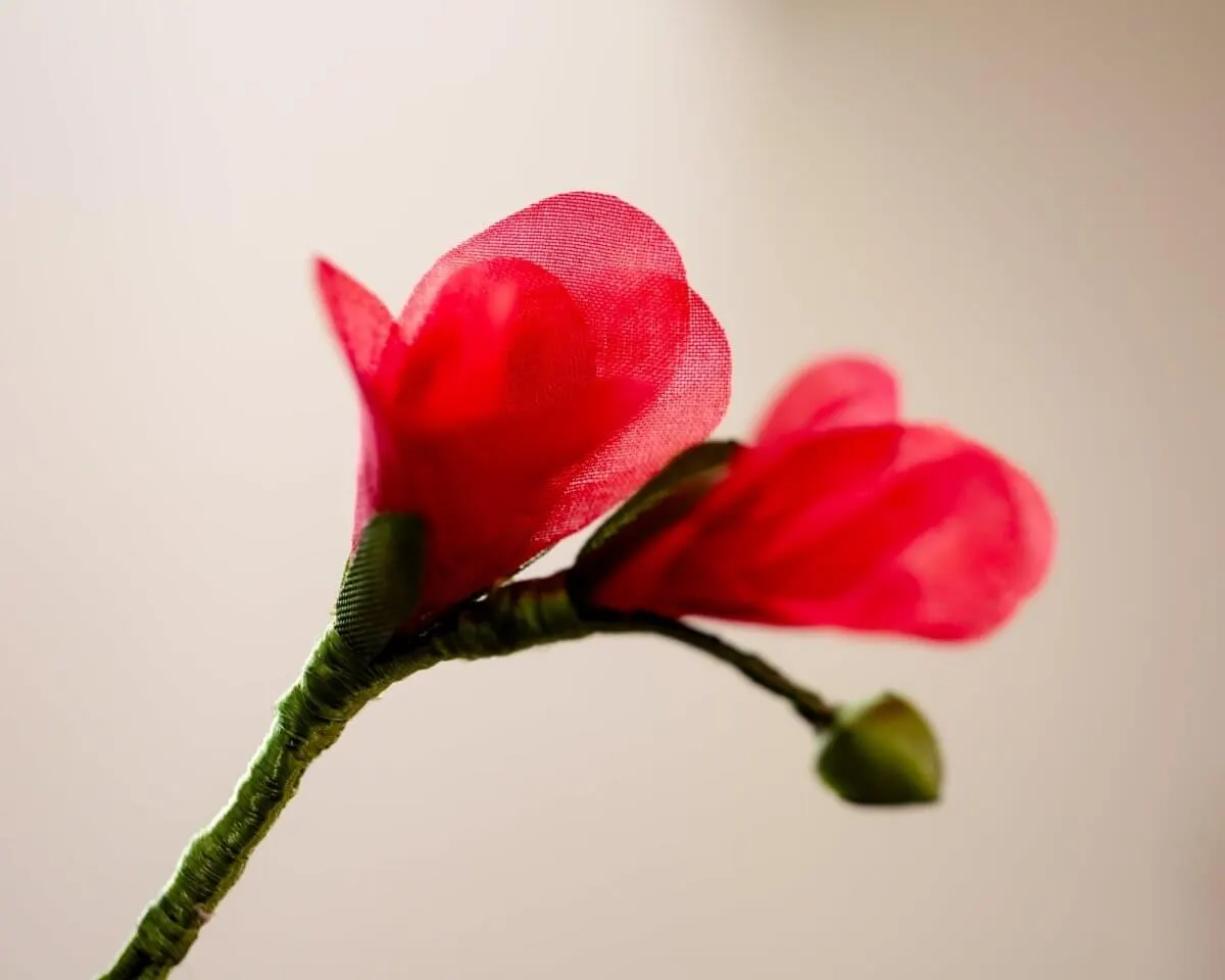 Boutonnière Freesie Rot (Freesia rubrum) - Ansicht 2