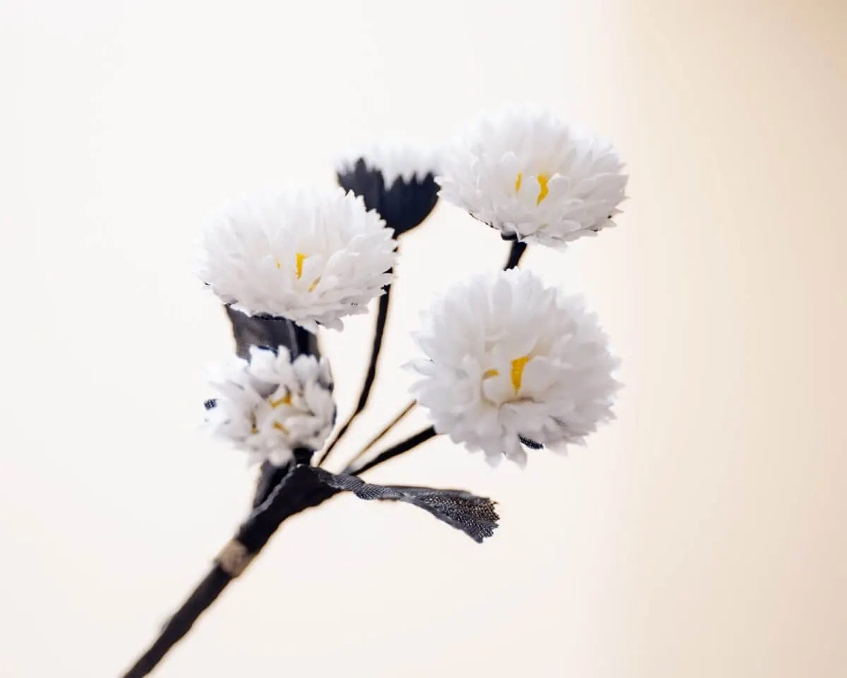 Boutonnière Gänseblümchen Weiß (Bouquet) - Ansicht 2