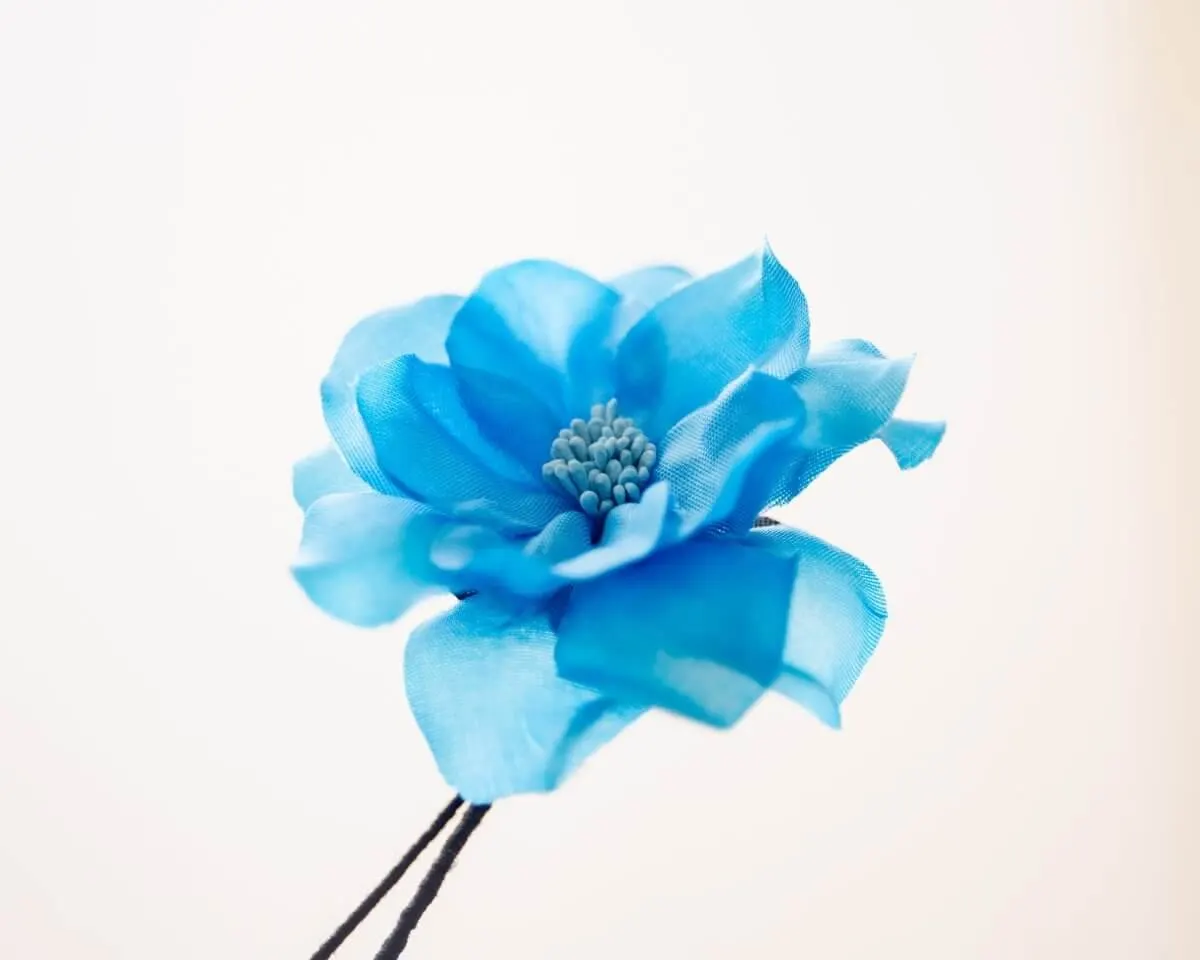 Boutonnière Gardenie Blau 'Nat King Cole' (Gardenia caeruleum) - Ansicht 2