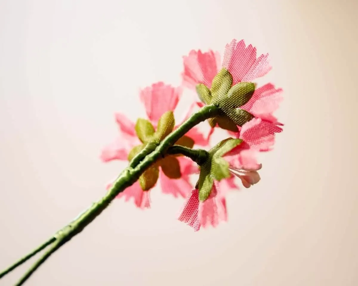 Boutonnière Gartennelke Rosa 3er (Dianthus caryophyllus) - Ansicht 3