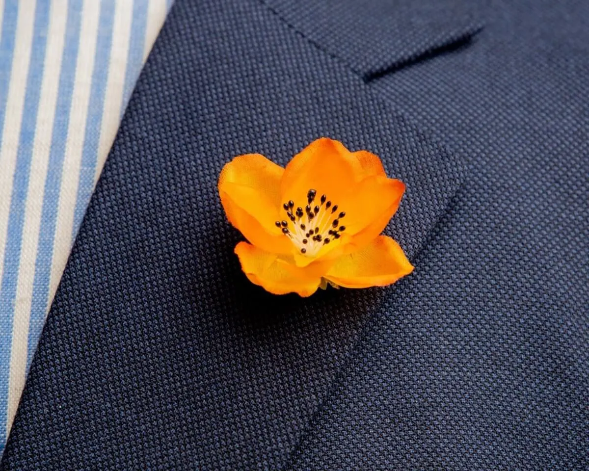 Boutonnière Hecken-Rose Orange (Rosa corymbifera)