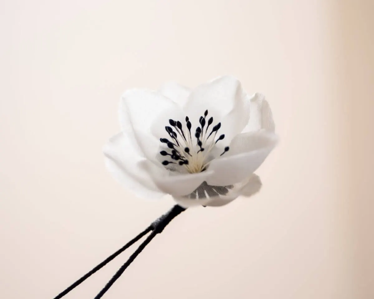 Boutonnière Hecken-Rose Weiß (Rosa corymbifera) - Ansicht 2
