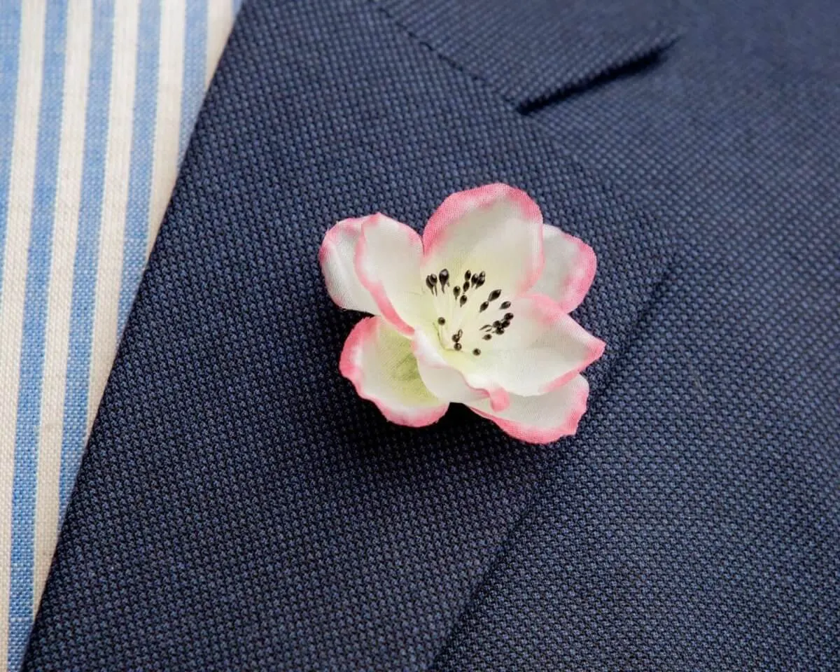 Boutonnière Hecken-Rose Weiß-Rosa (Rosa corymbifera)
