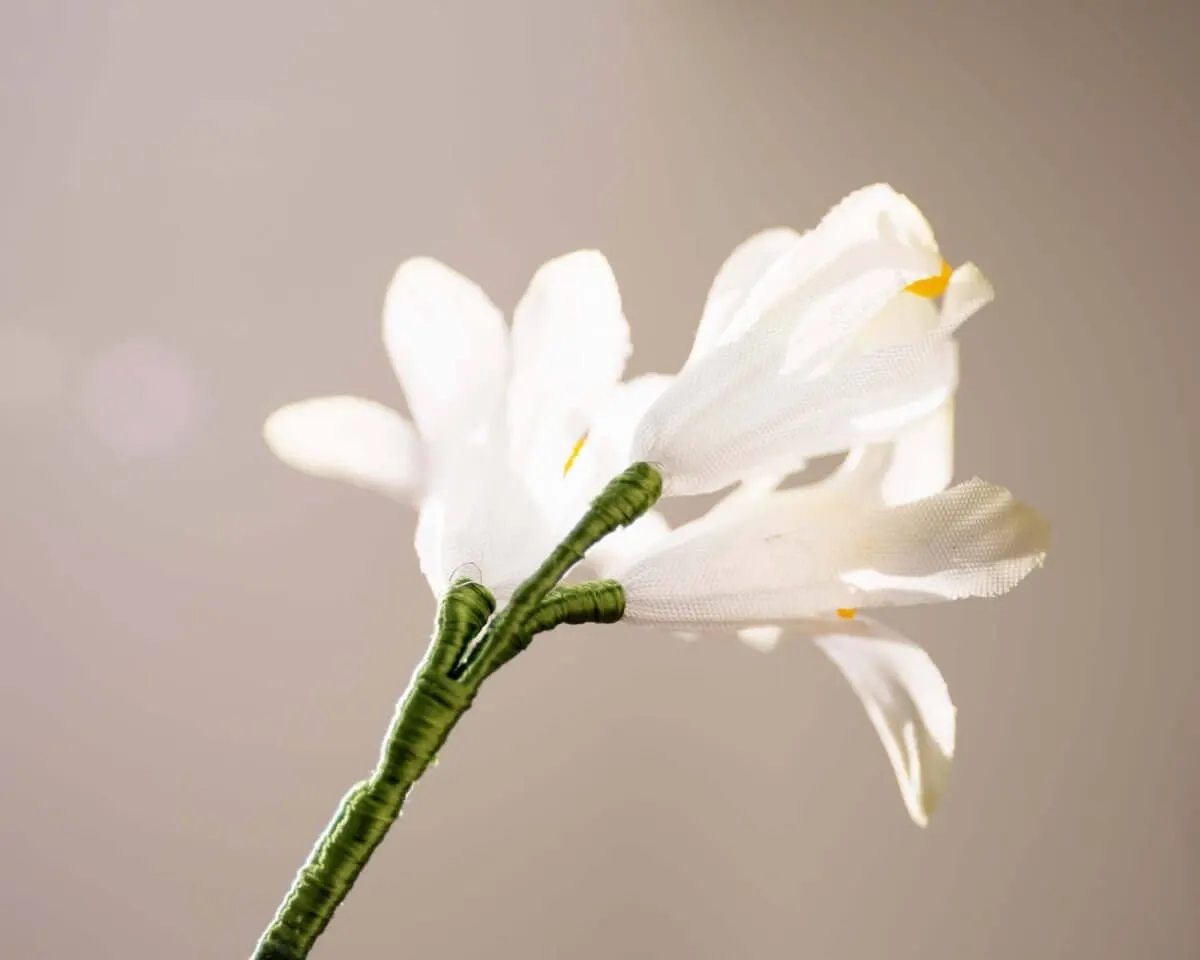 Boutonnière Hyazinthe Weiß 3er (Hyacinthus album) - Ansicht 3