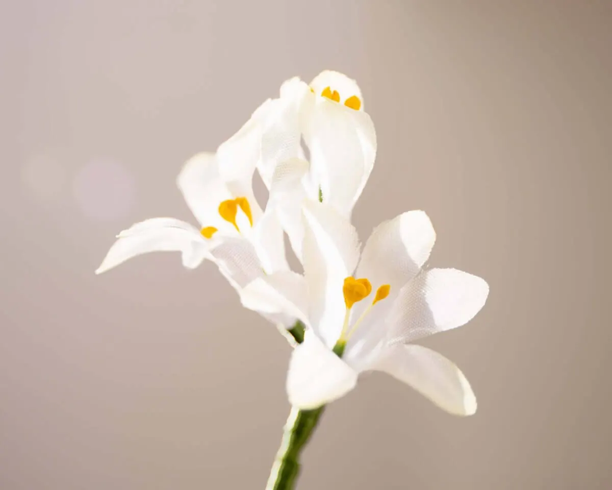 Boutonnière Hyazinthe Weiß 3er (Hyacinthus album) - Ansicht 2