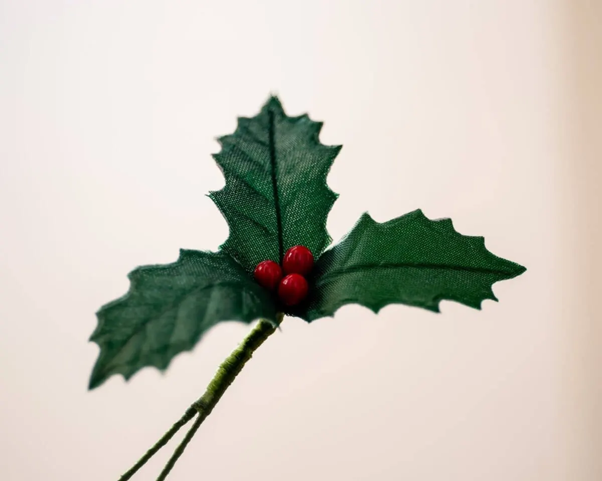 Boutonnière Ilex 'Bing Crosby' groß (Ilex aquifolium) - Ansicht 2