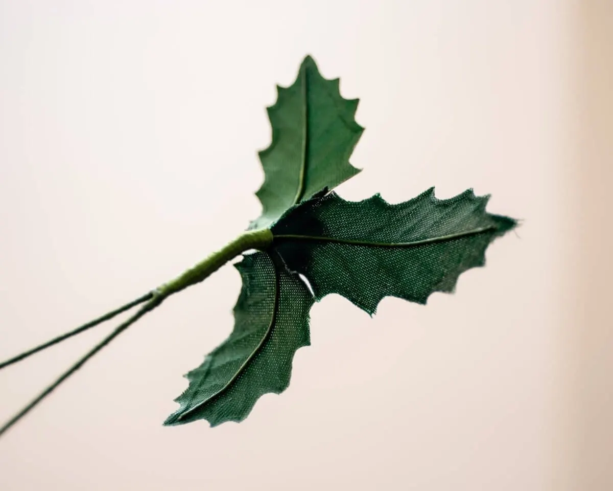 Boutonnière Ilex 'Bing Crosby' groß (Ilex aquifolium) - Ansicht 3