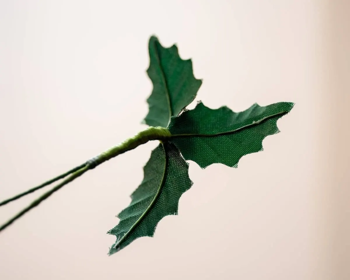 Boutonnière Ilex 'Bing Crosby' klein (Ilex aquifolium) - Ansicht 3