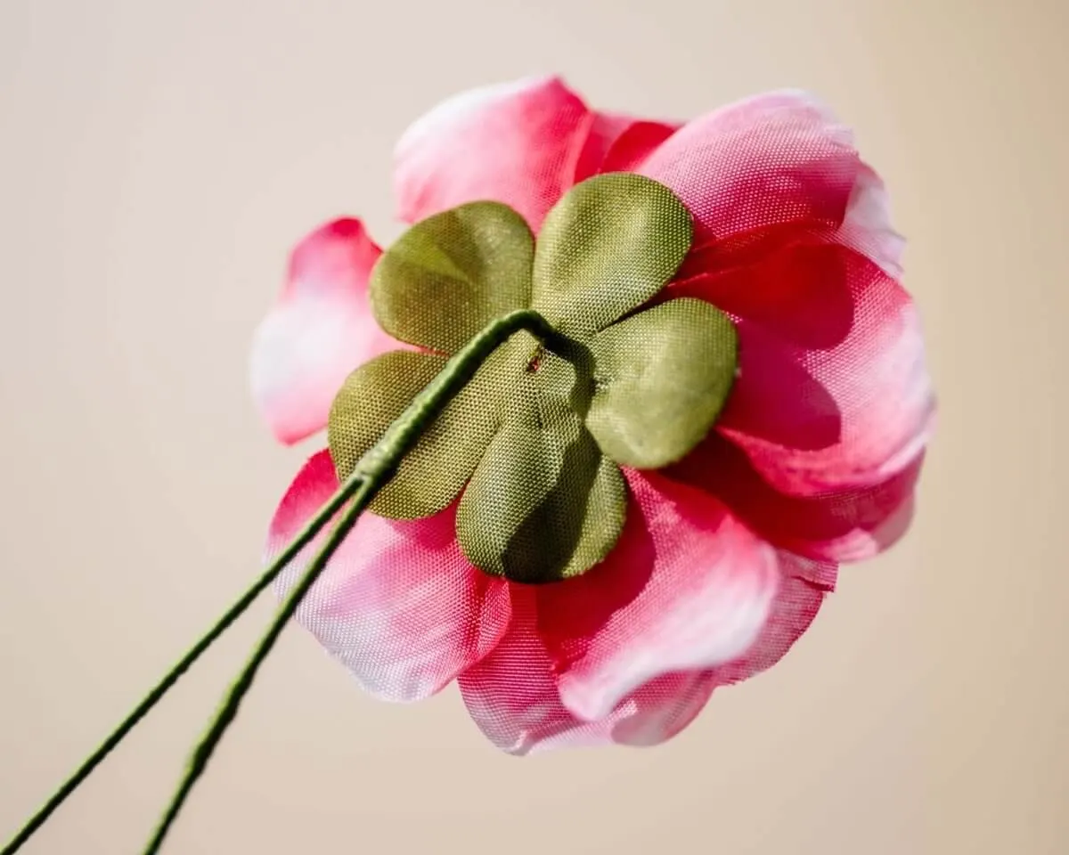 Boutonnière Kamelie Magenta (Camellia magentum) - Ansicht 3