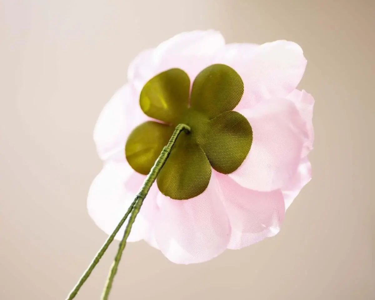 Boutonnière Kamelie Rosa (Camellia roseum) - Ansicht 3