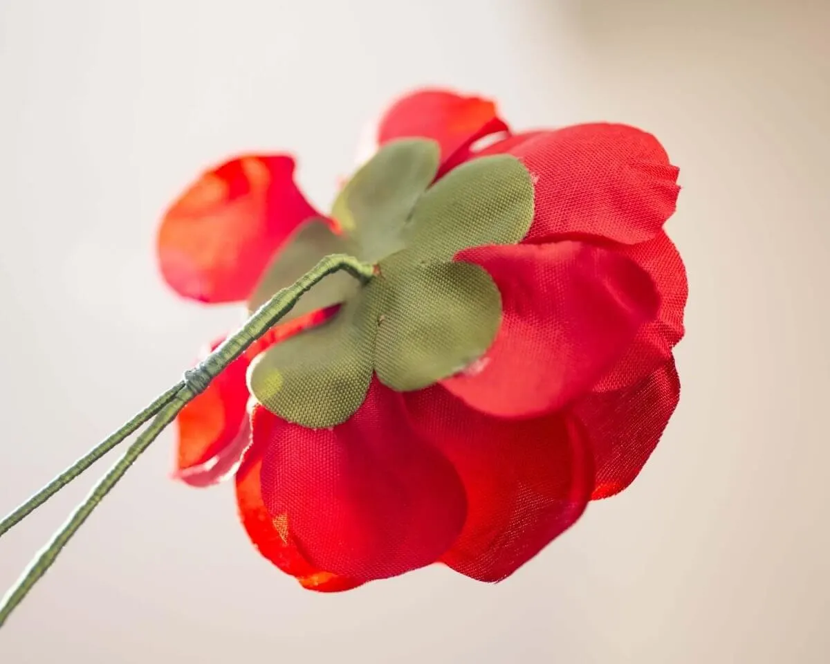 Boutonnière Kamelie Rot (Camellia rubrum) - Ansicht 3
