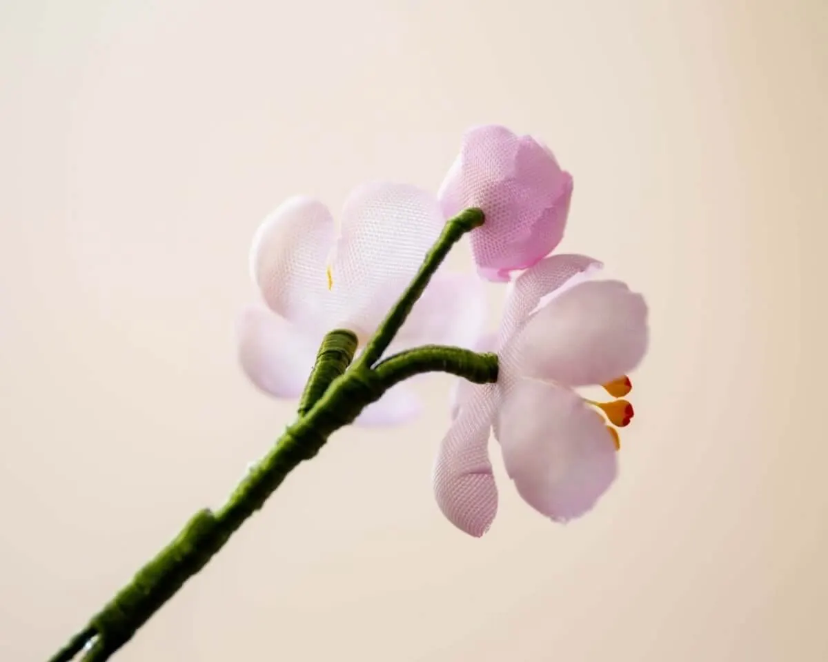Boutonnière Kirschblüte Rosa 3er (jap. sakura) - Ansicht 3