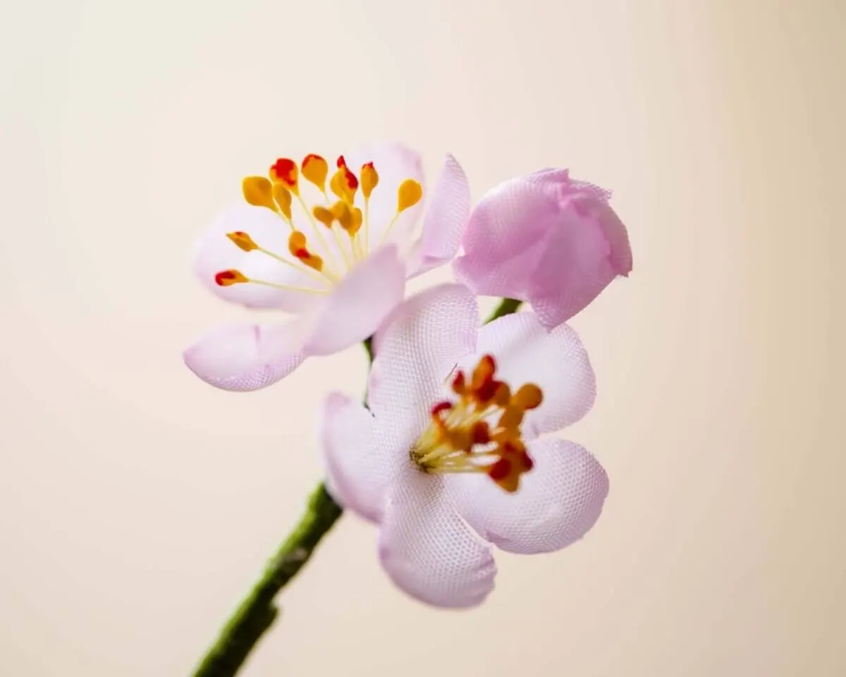 Boutonnière Kirschblüte Rosa 3er (jap. sakura) - Ansicht 2
