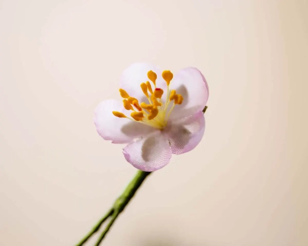 Boutonnière Kirschblüte Rosa Mini (jap. sakura) - Ansicht 2
