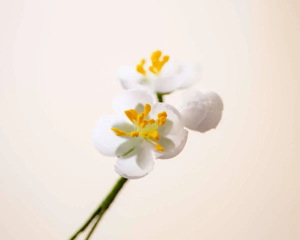 Boutonnière Kirschblüte Weiß 3er (jap. sakura) - Ansicht 2