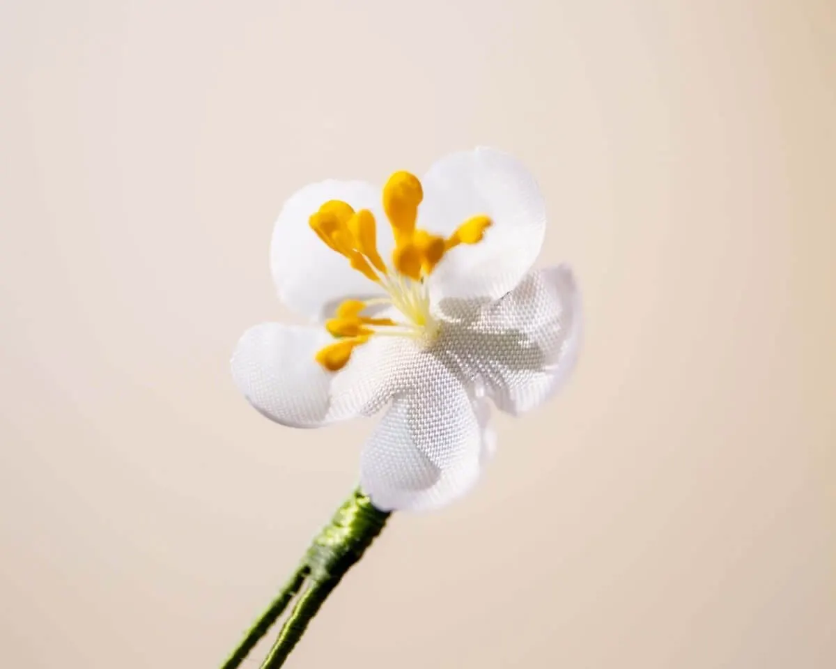 Boutonnière Kirschblüte Weiß Mini (jap. sakura) - Ansicht 2