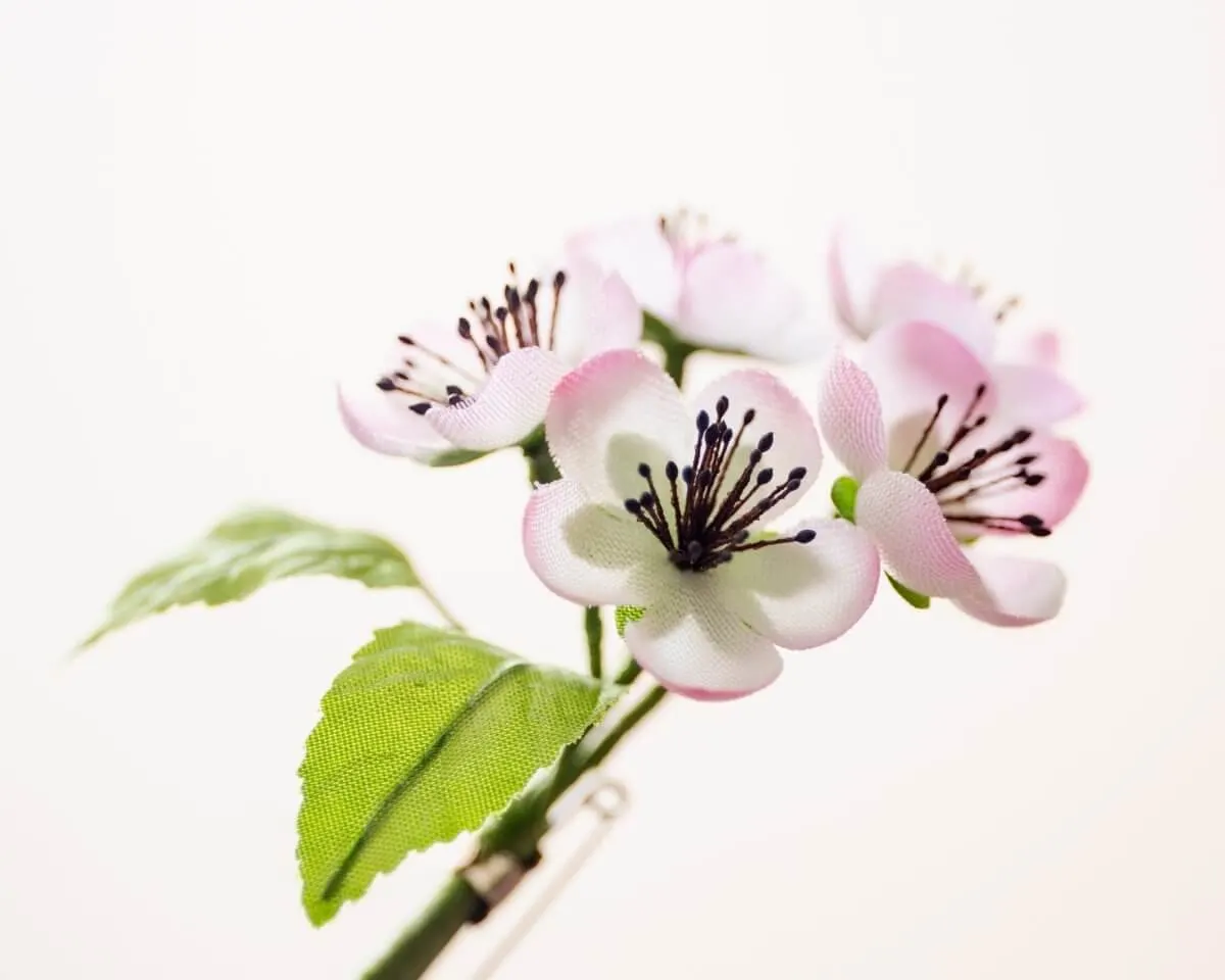 Boutonnière Kirschblüten Rosa-Weiß (Bouquet) - Ansicht 2